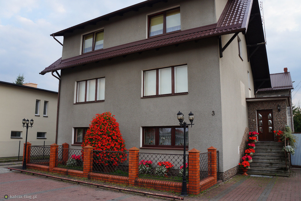 Lais z Kamienia Lech Gutkowski i Jerzy Kosztowny z Dragacza Sawomir Mandziuk Wczoraj w Chojnicach spotkalimy si z najlepszymi listonoszami z Marta Gauszewska - MVRT: Zobacz najnowszy singiel Rooftop Przyjaciele z Poczty | Gazeta Pomorska